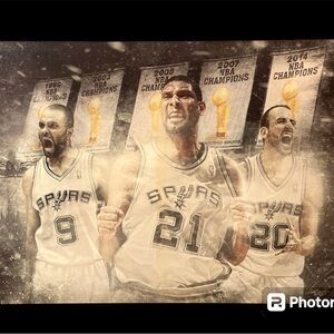 The NBA Spurs